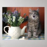 'Caterwaul', The Singing Cat Print