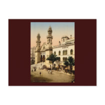 Cathedral Algiers Algeria Post Cards
