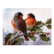 Catherine Klein: Robins on Holly Post Cards