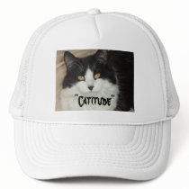Catitude Cat with an Attitude