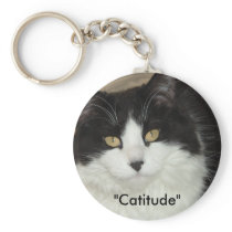 Catitude Cat with an Attitude