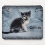 Catitude mousepads