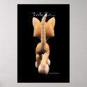 Catitude posters