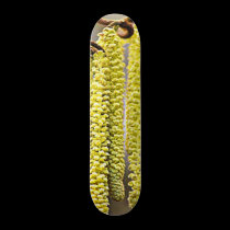 Catkins skateboards
