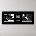 Catlike Print