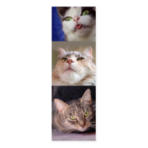 Catlovers' Bookmark Business Cards