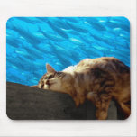 Catnap Fishing Mousepads