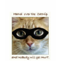 CatNip Bandit t-shirts