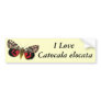 Catocala elocata bumper sticker