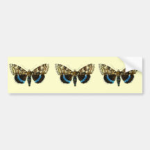 Catocala fraxini bumper stickers