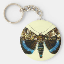 Catocala fraxini key chains