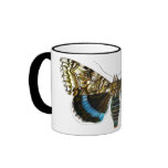 Catocala fraxini mugs
