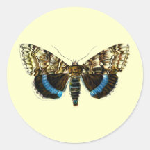 Catocala fraxini round stickers