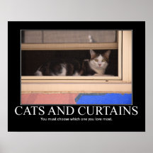 Cats and Curtains Artwork Posters