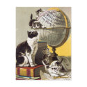 Cats and  Globe postcards