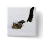 cats_and_snow_ (4) buttons