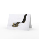cats_and_snow_ (4) cards