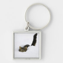 cats_and_snow_ (4) key chains