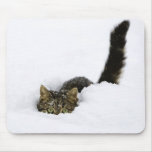 cats_and_snow_ (4) mousepads