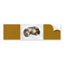 cats_and_snow_ (5) cute pets animals kittens funny