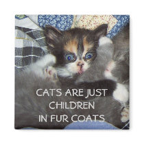 CATS ARE JUST CHILDREN IN FUR COATS MAGNET