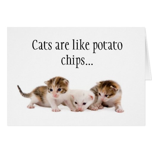 happy birthday potato chips