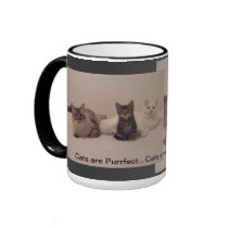 cats are purrfect mug