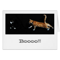 Cats, Boooo!!! Greeting Cards