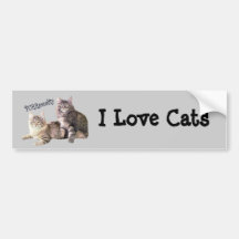 Cats Bumper Sticker PURRsonality