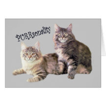 Cats Card PURRsonality