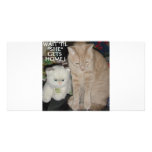 CATS, CATS AND MORE CATS CUSTOM PHOTO CARD