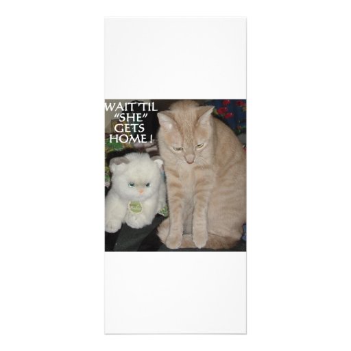 CATS, CATS AND MORE CATS RACK CARD TEMPLATE