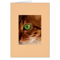 Cats Eye Greeting Card
