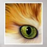 Cat's Eye posters
