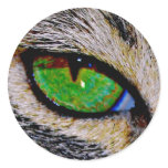cat's eye stickers
