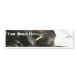Cats Eyes Furry Whiskers Black Bumper Sticker