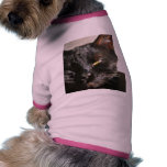Cats Eyes Furry Whiskers Black pet clothing