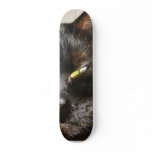 Cats Eyes Furry Whiskers Black skateboards