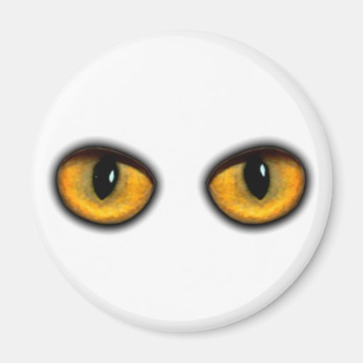 Cat's Eyes Magnets