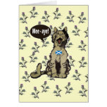 Cats for Scottish Independence Card