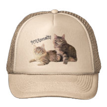 Cats Hat PURRsonality