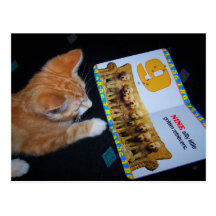 cats horror book postcard