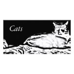 Cats in Black and White photo cards