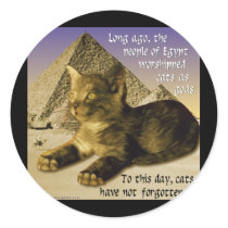 Cats in Egypt