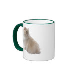 Cats Kittens Fun Mug