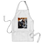 Cats Kitties Kitty aprons