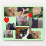 Cats Mouse Pad mousepads