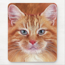 CATS MOUSE PADS