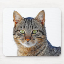 cats mousepad
