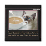 Cats On Espresso Fridge Magnet